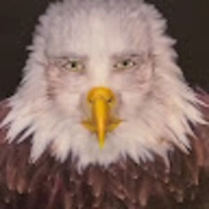 Meet your Posher, Jack